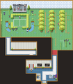 Zaytoon Arena