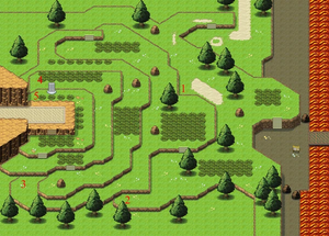 TRAIL 22.webp