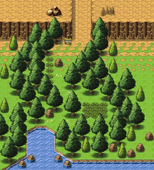 TRAIL 11.webp